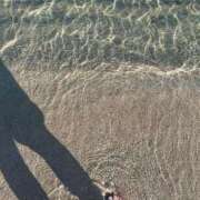 ヒメ日記 2025/07/31 17:48 投稿 新木 ゆい 京都ホットポイント