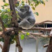 ヒメ日記 2025/03/20 22:17 投稿 きら 鶯谷デリヘル倶楽部