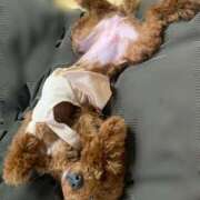 ヒメ日記 2025/09/16 08:30 投稿 涌井【人妻コース】 CLUB CANDY（鳥栖店）