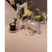 ヒメ日記 2025/01/31 17:51 投稿 叶愛【トア】 輝女