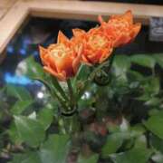 ヒメ日記 2025/07/09 19:48 投稿 叶愛【トア】 輝女