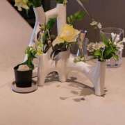 ヒメ日記 2025/09/11 07:30 投稿 叶愛【トア】 輝女