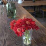 ヒメ日記 2025/11/06 08:26 投稿 叶愛【トア】 輝女