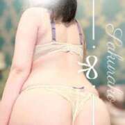 ヒメ日記 2026/04/13 12:03 投稿 さくらこ SOPHIA（ソフィア）