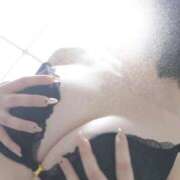 ヒメ日記 2026/04/14 09:13 投稿 さくらこ SOPHIA（ソフィア）