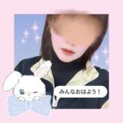 ヒメ日記 2026/05/08 06:13 投稿 さくらこ SOPHIA（ソフィア）
