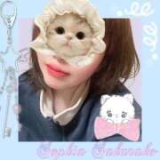 ヒメ日記 2026/05/14 06:13 投稿 さくらこ SOPHIA（ソフィア）