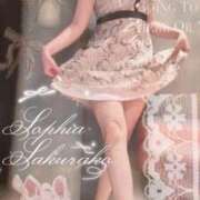 ヒメ日記 2026/05/14 09:13 投稿 さくらこ SOPHIA（ソフィア）