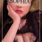 ヒメ日記 2026/07/08 11:53 投稿 さくらこ SOPHIA（ソフィア）