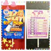 ヒメ日記 2025/04/01 15:56 投稿 高橋まり YESグループ水戸　華女