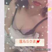 ヒメ日記 2025/04/03 15:25 投稿 高橋まり YESグループ水戸　華女