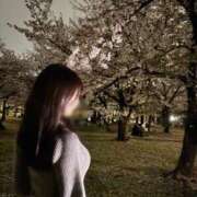 ヒメ日記 2026/04/23 11:15 投稿 はな♡極上SPコース♡ PANTHER（パンサー）