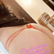 ヒメ日記 2025/09/10 00:32 投稿 中条日向(なかじょうひなた) 姫路マダム大奥