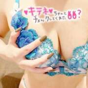 ヒメ日記 2026/02/12 15:22 投稿 中条日向(なかじょうひなた) 姫路マダム大奥