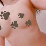 ヒメ日記 2025/03/02 01:36 投稿 ぺこ 155