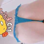 ヒメ日記 2025/04/17 20:19 投稿 ぺこ 155