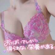 ヒメ日記 2026/04/28 22:36 投稿 ぺこ 155