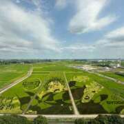 ヒメ日記 2025/08/29 16:54 投稿 理香(りか) 相模原人妻城