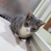 ヒメ日記 2025/06/24 11:58 投稿 ユウ秘書 秘書の品格 クラブアッシュ ヴァリエ