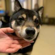 ヒメ日記 2025/06/27 10:08 投稿 ユウ秘書 秘書の品格 クラブアッシュ ヴァリエ