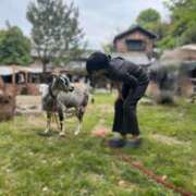 ヒメ日記 2025/08/17 11:48 投稿 ユウ秘書 秘書の品格 クラブアッシュ ヴァリエ