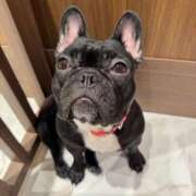 ヒメ日記 2025/10/29 13:49 投稿 ユウ秘書 秘書の品格 クラブアッシュ ヴァリエ