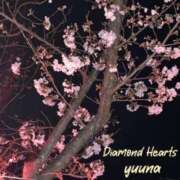 ヒメ日記 2024/04/03 19:19 投稿 夕凪(ゆうな) Diamond Hearts