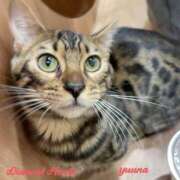 ヒメ日記 2025/04/19 16:16 投稿 夕凪(ゆうな) Diamond Hearts