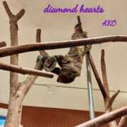 ヒメ日記 2023/11/25 10:07 投稿 亜子(あこ) Diamond Hearts