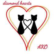 ヒメ日記 2024/03/20 03:16 投稿 亜子(あこ) Diamond Hearts