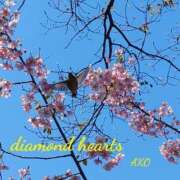 ヒメ日記 2024/03/22 19:16 投稿 亜子(あこ) Diamond Hearts