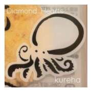 ヒメ日記 2024/12/13 16:10 投稿 紅葉(くれは) Diamond Hearts