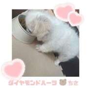 ヒメ日記 2025/01/30 18:06 投稿 ちさ Diamond Hearts