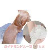 ヒメ日記 2025/06/27 19:16 投稿 ちさ Diamond Hearts