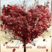 ヒメ日記 2024/12/15 22:16 投稿 妃(きさき) Diamond Hearts