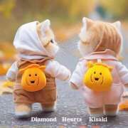 ヒメ日記 2025/01/31 16:07 投稿 妃(きさき) Diamond Hearts