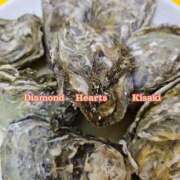 ヒメ日記 2025/03/22 22:07 投稿 妃(きさき) Diamond Hearts