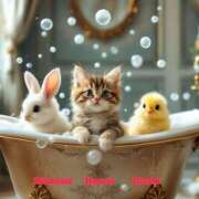 ヒメ日記 2025/03/28 21:16 投稿 妃(きさき) Diamond Hearts