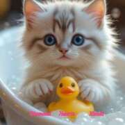 ヒメ日記 2025/03/30 20:06 投稿 妃(きさき) Diamond Hearts