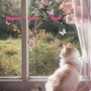 ヒメ日記 2025/04/03 21:16 投稿 妃(きさき) Diamond Hearts