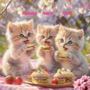 ヒメ日記 2025/04/06 16:16 投稿 妃(きさき) Diamond Hearts