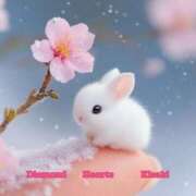 ヒメ日記 2025/04/29 21:17 投稿 妃(きさき) Diamond Hearts