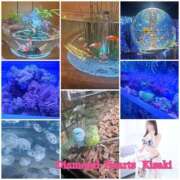 ヒメ日記 2025/11/13 21:17 投稿 妃(きさき) Diamond Hearts