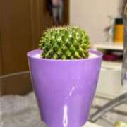 ヒメ日記 2026/02/23 11:20 投稿 加地みやび 五十路マダムエクスプレス船橋店(カサブランカグループ)