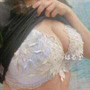 ヒメ日記 2025/09/11 05:46 投稿 ハル リッチドールなんば店