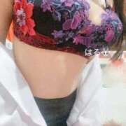 ヒメ日記 2025/10/10 05:46 投稿 ハル リッチドールなんば店