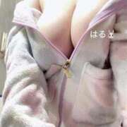 ヒメ日記 2025/11/10 07:06 投稿 ハル リッチドールなんば店