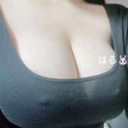 ヒメ日記 2026/03/26 05:46 投稿 ハル リッチドールなんば店