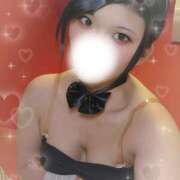 ヒメ日記 2025/03/19 23:03 投稿 リオ バニーコレクション新潟店