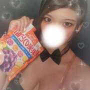 ヒメ日記 2025/07/19 16:20 投稿 リオ バニーコレクション新潟店